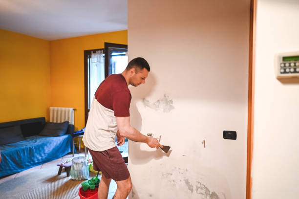 Best Attic Mold Remediation in Heyburn, ID